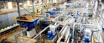 CÔNG TY GIÁO DỤC HƯỚNG NGHIỆP BẮC MỸ 2