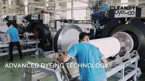 Cleandye Việt Nam 6