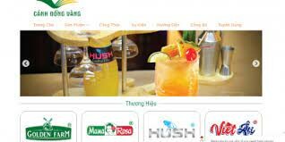 CÁNH ĐỒNG VÀNG 7