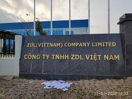 ZDL Việt Nam 11