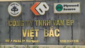 Ván Ép Việt Bắc 10