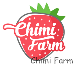 Chimi Việt Nam 1