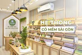 Cỏ mềm HomeLab 3