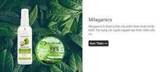 Động Học Stella 8