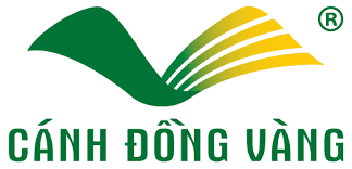 CÁNH ĐỒNG VÀNG 1