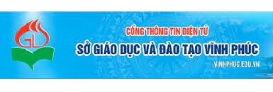 Sở Giáo dục và Đào tạo Vĩnh Phúc 10