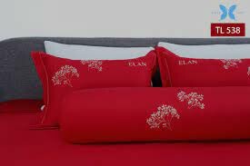 GỐI ĐỆM ELAN 2