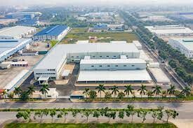 Taishodo Việt Nam 5