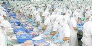 Thủy Sản Trần Nhân 1