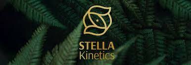 Động Học Stella 7