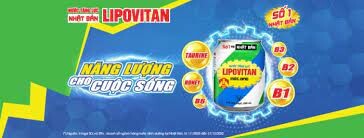 Taisho Vietnam Co., LTD 9