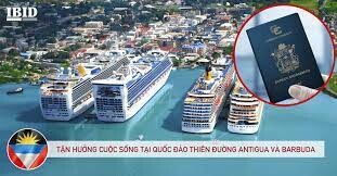 ĐẦU TƯ PHÁT TRIỂN KINH DOANH QUỐC TẾ - IBID 11