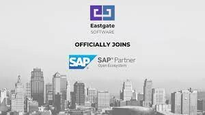 Eastgate Software JSC 10