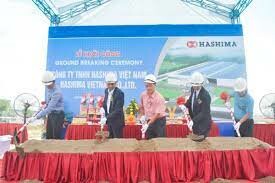 Hashima Việt Nam 6