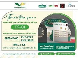 CÁNH ĐỒNG VÀNG 5