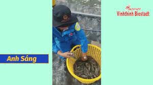 VINHTHINH BIOSTADT 4