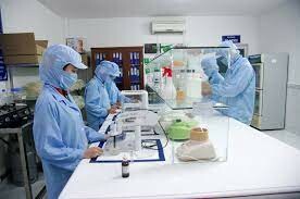 Nha Đam VIỆT NAM 9