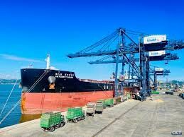 Công Ty Cảng Công-Ten-Nơ Quốc Tế Cái Lân 9