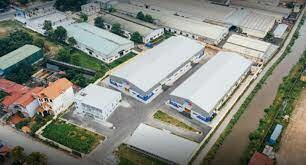 RAPID AID VIỆT NAM 4