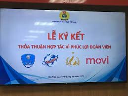 MOVI Việt Nam 7