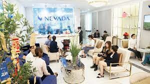 Công ty Đầu tư Quốc tế Nevada 9