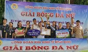 Việt Mỹ Bình Định 5