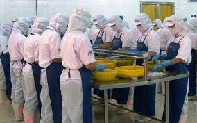 Thủy Sản Incomfish 3