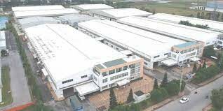 Spica Elastic Việt Nam 3