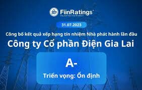 Điện Gia Lai - GEC 4