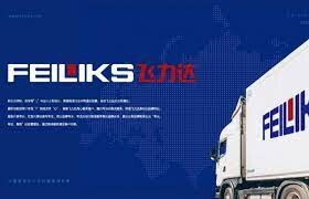 Feiliks Việt Nam 6