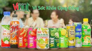 Vinut Việt Nam 3