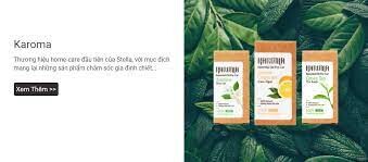 Động Học Stella 3