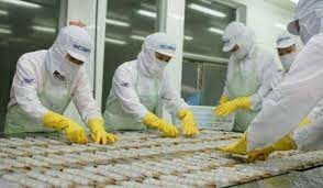 Thủy Sản Incomfish 4