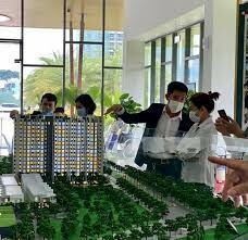 VPS LAND - VIETNAM Pro Service 8