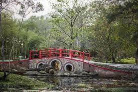 ALBA WELLNESS VALLEY 1