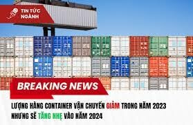 Happer Việt Nam 11