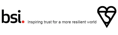 BSI GROUP 1