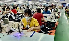 Dệt Nhãn Nhân Mỹ 4