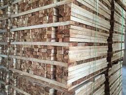 CÔNG TY ĐẦU TƯ & PHÁT TRIỂN AK (VIỆT NAM) 5