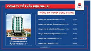 Điện Gia Lai - GEC 2