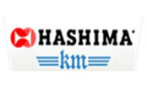 Hashima Việt Nam 2