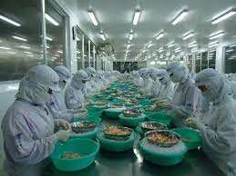 Thủy Sản Incomfish 6