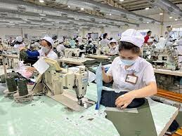 Dệt Nhãn Nhân Mỹ 5