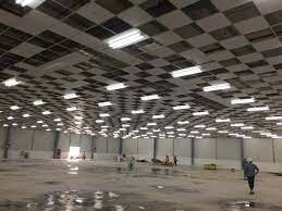 Spica Elastic Việt Nam 6