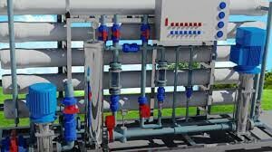 Công Ty TNHH Everyoung 5