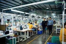 Merchize PTE. LTD. 11