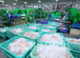 Thủy Sản Incomfish 7