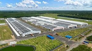 Kiến trúc AA Tây Ninh 4