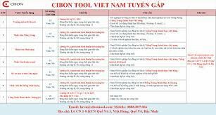 CIBON TOOL VIET NAM 7
