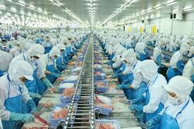 Thủy Sản Incomfish 8